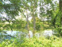 Terrain L'Isle-sur-la-Sorgue #013632 Boschi Immobilier