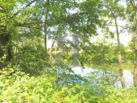 Terrain L'Isle-sur-la-Sorgue #013632 Boschi Immobilier