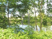 Terrain L'Isle-sur-la-Sorgue #013632 Boschi Immobilier