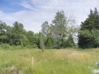 Terrain L'Isle-sur-la-Sorgue #013632 Boschi Immobilier