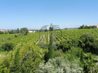 Mas Vaison-la-Romaine #011558 Boschi Immobilier