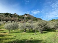 Terrain Buis-les-Baronnies #013860 Boschi Immobilier