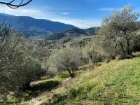 Terrain Buis-les-Baronnies #013860 Boschi Immobilier