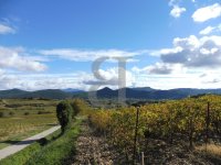 Terrain Rasteau #012763 Boschi Immobilier