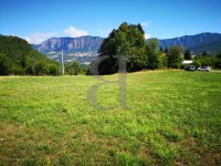 Terrain Dieulefit #016605 Boschi Immobilier