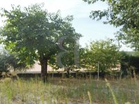 Villa Vaison-la-Romaine #014418 Boschi Immobilier