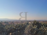 Villa Allan #014490 Boschi Prestige
