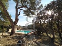 Villa L'Isle-sur-la-Sorgue #014514 Boschi Immobilier