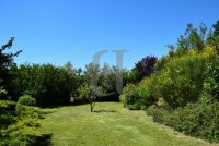 Mas Vaison-la-Romaine #012499 Boschi Prestige