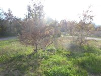Appartement Buis-les-Baronnies #014792 Boschi Immobilier