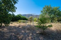 Villa L'Isle-sur-la-Sorgue #015001 Boschi Immobilier