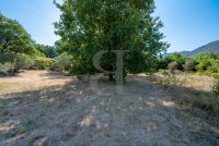 Villa L'Isle-sur-la-Sorgue #015001 Boschi Immobilier