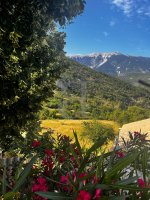 Maison de village Buis-les-Baronnies #015277 Boschi Immobilier
