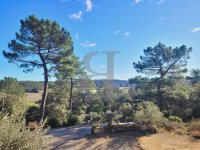 Villa Saint-Restitut #015351 Boschi Real Estate