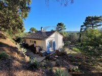 Villa Saint-Restitut #015351 Boschi Real Estate