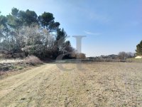 Terrain L'Isle-sur-la-Sorgue #015500 Boschi Immobilier