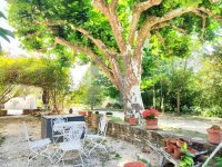 Farmhouse and stonebuilt house L'Isle-sur-la-Sorgue #017493 Boschi Real Estate