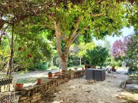 Farmhouse and stonebuilt house L'Isle-sur-la-Sorgue #017493 Boschi Real Estate