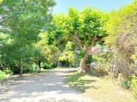 Farmhouse and stonebuilt house L'Isle-sur-la-Sorgue #017493 Boschi Real Estate