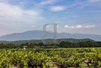 Mas Pernes-les-Fontaines #015848 Boschi Prestige