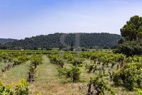 Mas Pernes-les-Fontaines #015848 Boschi Prestige