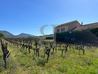 Mas Nyons #016035 Boschi Immobilier