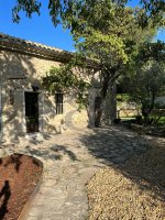 Farmhouse and stonebuilt house L'Isle-sur-la-Sorgue #016165 Boschi Real Estate