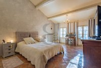 Exceptional property Arles #016157 Boschi Luxury Properties