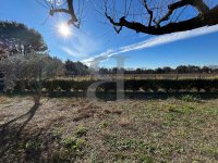 Villa Carpentras #016200 Boschi Immobilier