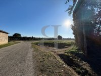 Terrain L'Isle-sur-la-Sorgue #016232 Boschi Immobilier