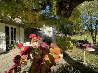 Farmhouse and stonebuilt house Pernes-les-Fontaines #016271 Boschi Real Estate