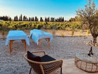 Exceptional property Châteauneuf-du-Pape #016471 Boschi Luxury Properties