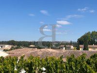 Villa Maussane-les-Alpilles #016524 Boschi Real Estate