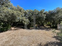 Farmhouse and stonebuilt house Maubec #016751 Boschi Real Estate