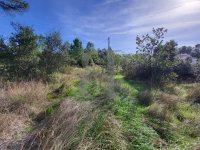 Terrain Bédoin #017057 Boschi Immobilier