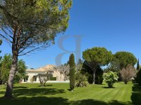 Mas Saint-Rémy-de-Provence #017204 Boschi Prestige