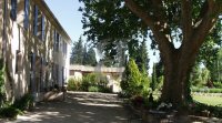 Mas Pernes-les-Fontaines #012721 Boschi Prestige