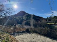 Villa Vaison-la-Romaine #017333 Boschi Immobilier