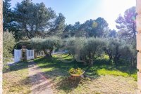 Villa Barbentane #017392 Boschi Real Estate