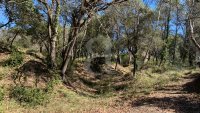 Building plot Vaison-la-Romaine #017545 Boschi Real Estate