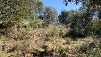 Building plot Vaison-la-Romaine #017545 Boschi Real Estate