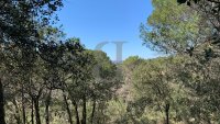 Building plot Vaison-la-Romaine #017545 Boschi Real Estate