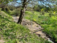 Farmhouse and stonebuilt house Dieulefit #017608 Boschi Real Estate