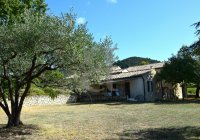 Farmhouse and stonebuilt house Vaison-la-Romaine #012838 Boschi Real Estate