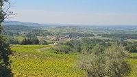 Villa Visan #017772 Boschi Real Estate