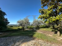Villa Visan #017772 Boschi Real Estate