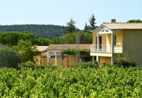 Villa Vaison-la-Romaine #012865 Boschi Prestige
