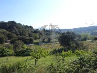 Mas Le Barroux #012096 Boschi Immobilier