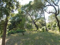 Villa Uchaux #013365 Boschi Prestige