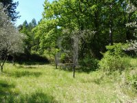 Terrain Nyons #011138 Boschi Immobilier